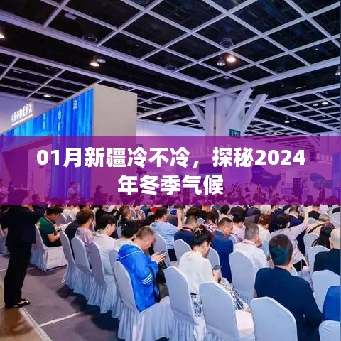 探秘新疆冬季气候，一月新疆冷不冷与未来2024年冬季气候展望