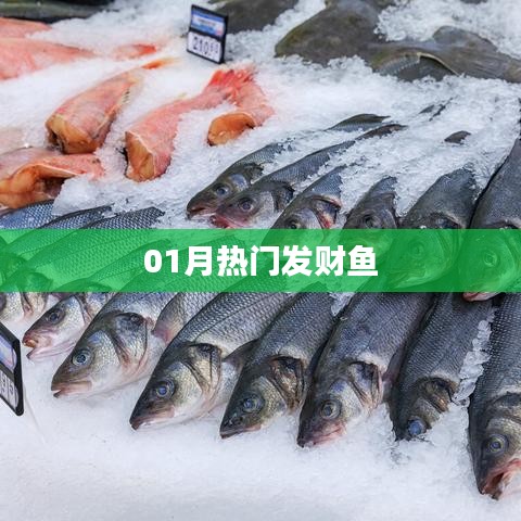 最新热门发财鱼,一月财运亨通之选