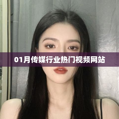 热门视频网站动态，传媒行业聚焦视频领域