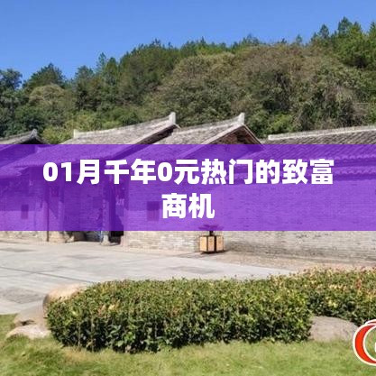 0元热门致富商机揭秘，一月千年的财富机遇