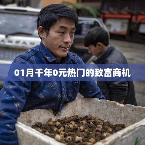 0元热门致富商机揭秘,一月千年的财富机遇