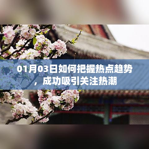 把握热点趋势,引领关注热潮,成功秘诀解析