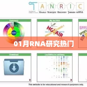 最新RNA研究热点解析