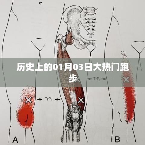 1月3日跑步热潮，历史上的大事件日运动高峰