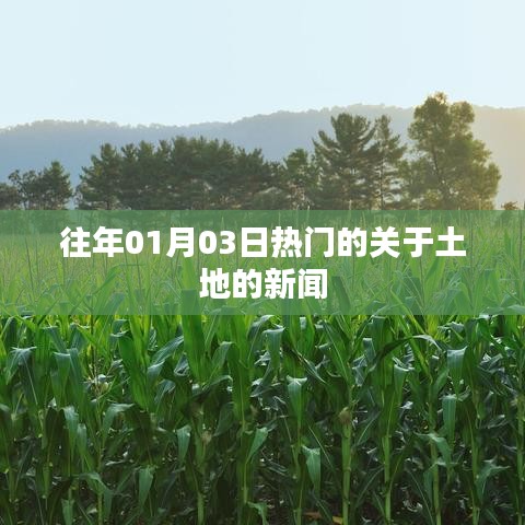 土地热点新闻，历年1月3日瞩目事件回顾