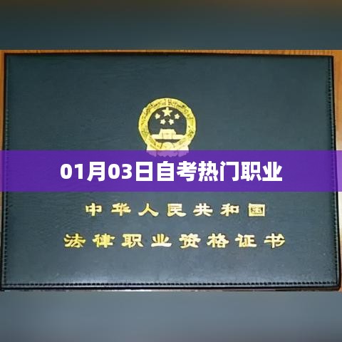 自考热门职业，掌握未来趋势的必备选择（XXXX年XX月XX日）