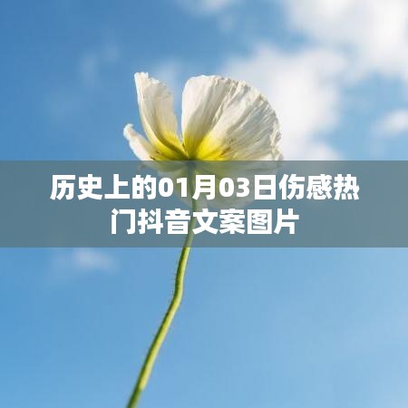 精选抖音伤感文案图片,历史上的今天,一月三日回顾