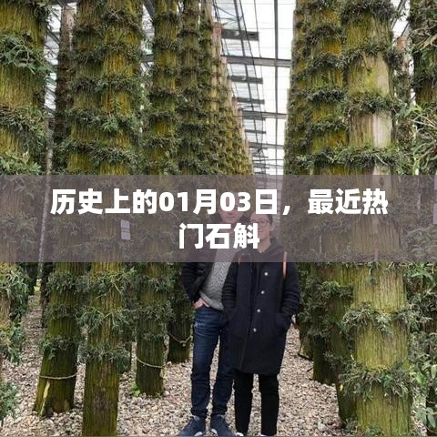 最新热门石斛资讯,历史上的1月3日