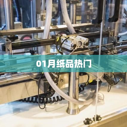纸品行业一月热门趋势解析