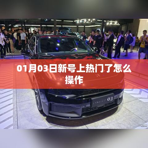 新号热门操作指南,如何稳固热门位置?