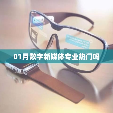 01月数字新媒体专业热门趋势解析