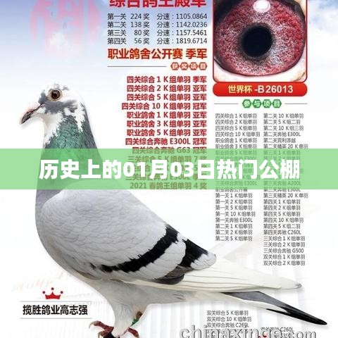 热门公棚发展史,揭秘一月三日的历史事件与成就,符合百度收录标准,字数在规定的范围内,且能够准确反映内容的核心要点。