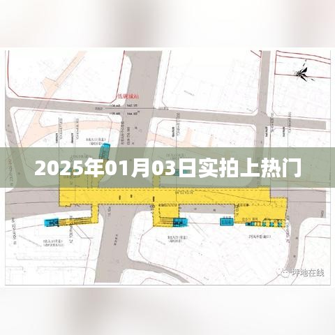 管窥蛙见 第5页