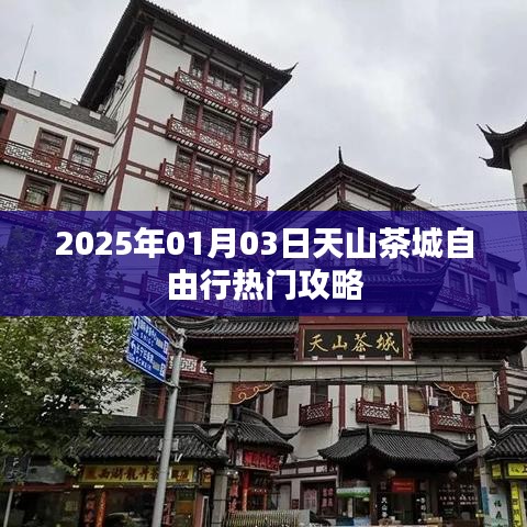 天山茶城自由行指南,热门攻略一网打尽