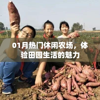 01月热门农场探秘，田园生活的魅力体验