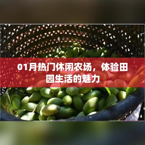 01月热门农场探秘,田园生活的魅力体验
