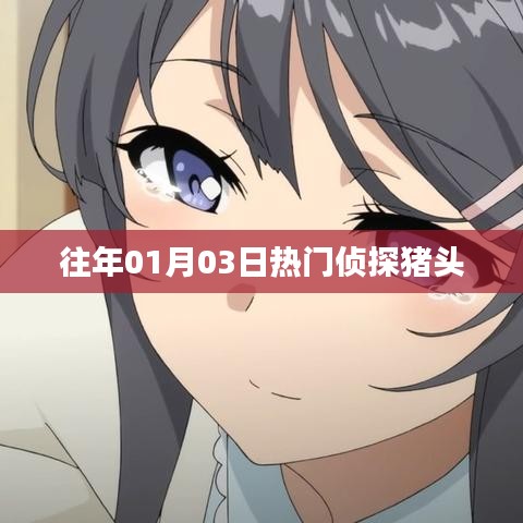 侦探猪头热爆开启,揭秘往年1月3日悬疑事件!