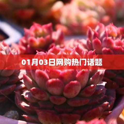 网购热点话题解析,最新动态一网打尽