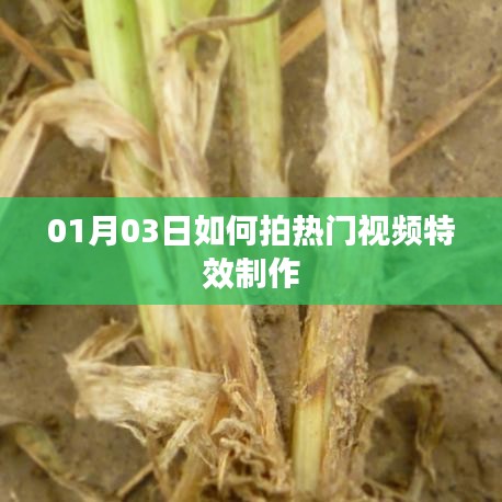 热门视频特效制作攻略，01月03日拍摄技巧