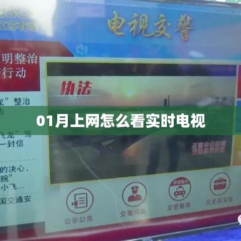 雍容雅步 第5页