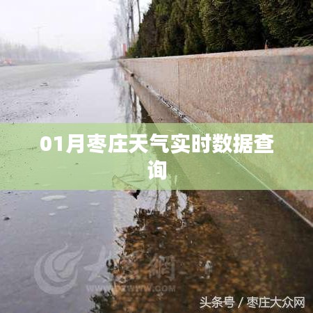 枣庄天气实时查询系统，掌握最新天气动态