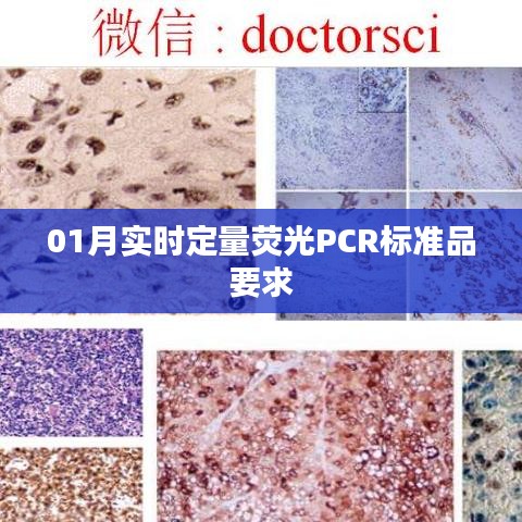 实时定量荧光PCR标准品一月要求详解