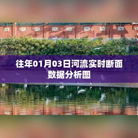 河流实时断面数据分析图（往年01月03日）