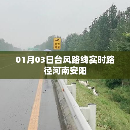 河南安阳台风实时路径更新，最新动态关注