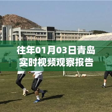 青岛实时视频观察报告,历年一月初观察分析