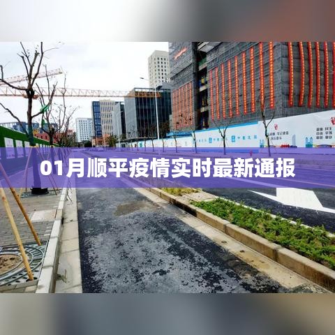 顺平疫情最新实时通报(每日更新)