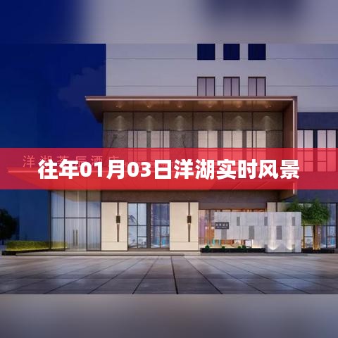 洋湖美景实时更新,一月的清晨风景