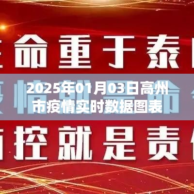 高州市疫情实时数据图表(最新更新至2025年)