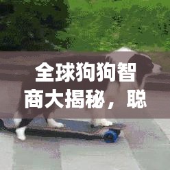 老死不相往来 第4页