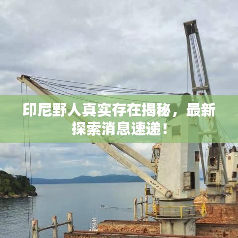 印尼野人真实存在揭秘，最新探索消息速递！