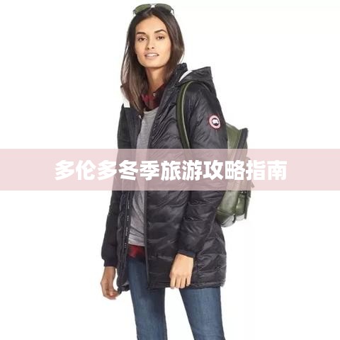 多伦多冬季旅游攻略指南