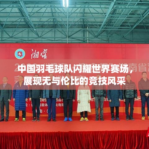 中国羽毛球队闪耀世界赛场，展现无与伦比的竞技风采