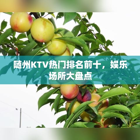随州KTV热门排名前十,娱乐场所大盘点