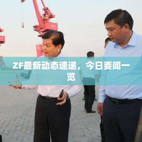 ZF最新动态速递，今日要闻一览