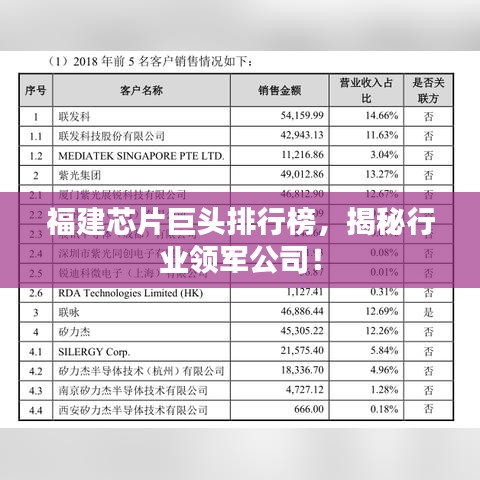 福建芯片巨头排行榜,揭秘行业领军公司!