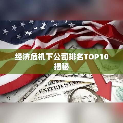 经济危机下公司排名TOP10揭秘
