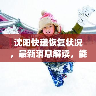 沈阳快递恢复状况,最新消息解读,能否正常收件一网打尽!