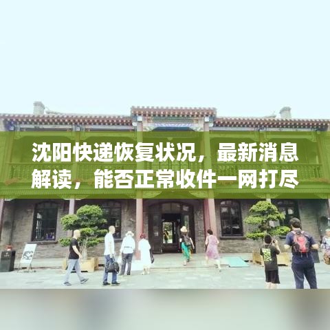 沈阳快递恢复状况,最新消息解读,能否正常收件一网打尽!