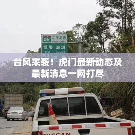 台风来袭！虎门最新动态及最新消息一网打尽