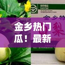 金乡热门瓜！最新爆料一网打尽