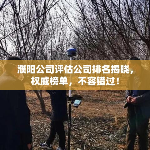 濮阳公司评估公司排名揭晓,权威榜单,不容错过!
