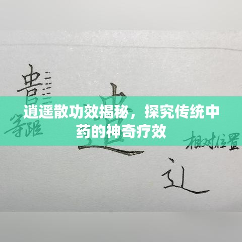 逍遥散功效揭秘,探究传统中药的神奇疗效