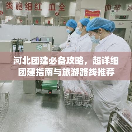 河北团建必备攻略，超详细团建指南与旅游路线推荐