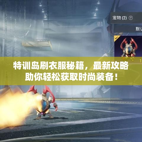 特训岛刷衣服秘籍,最新攻略助你轻松获取时尚装备!