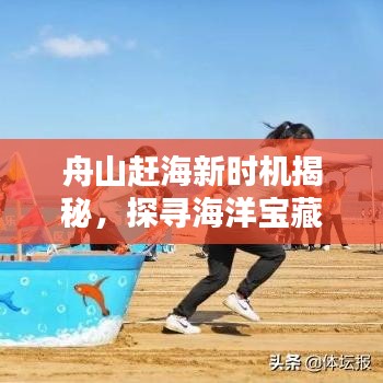舟山赶海新时机揭秘,探寻海洋宝藏的黄金时段