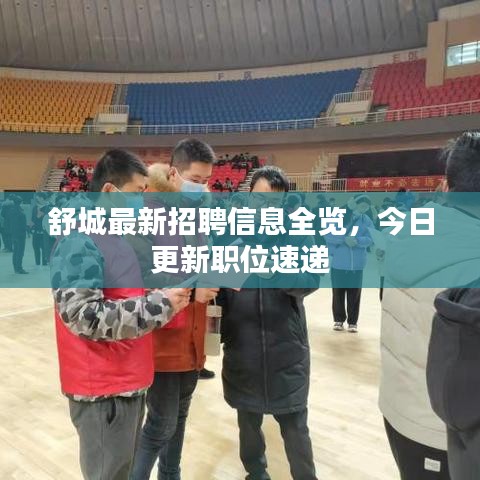 舒城最新招聘信息全览,今日更新职位速递